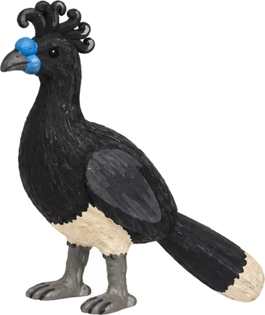 Paujil de pico azul