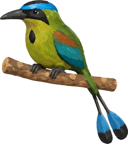 Barranquero