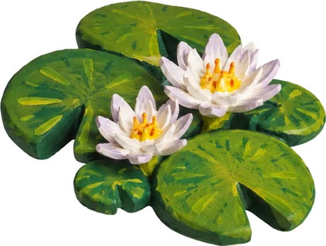 Lirio de agua