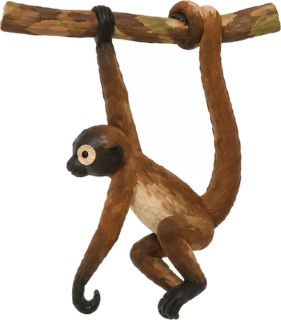 Mono arana